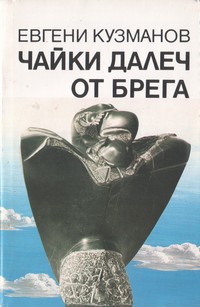 Чайки далеч от брега — Евгени Кузманов (корица)