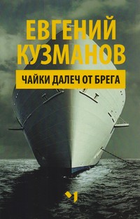 Чайки далеч от брега — Евгений Кузманов (корица)